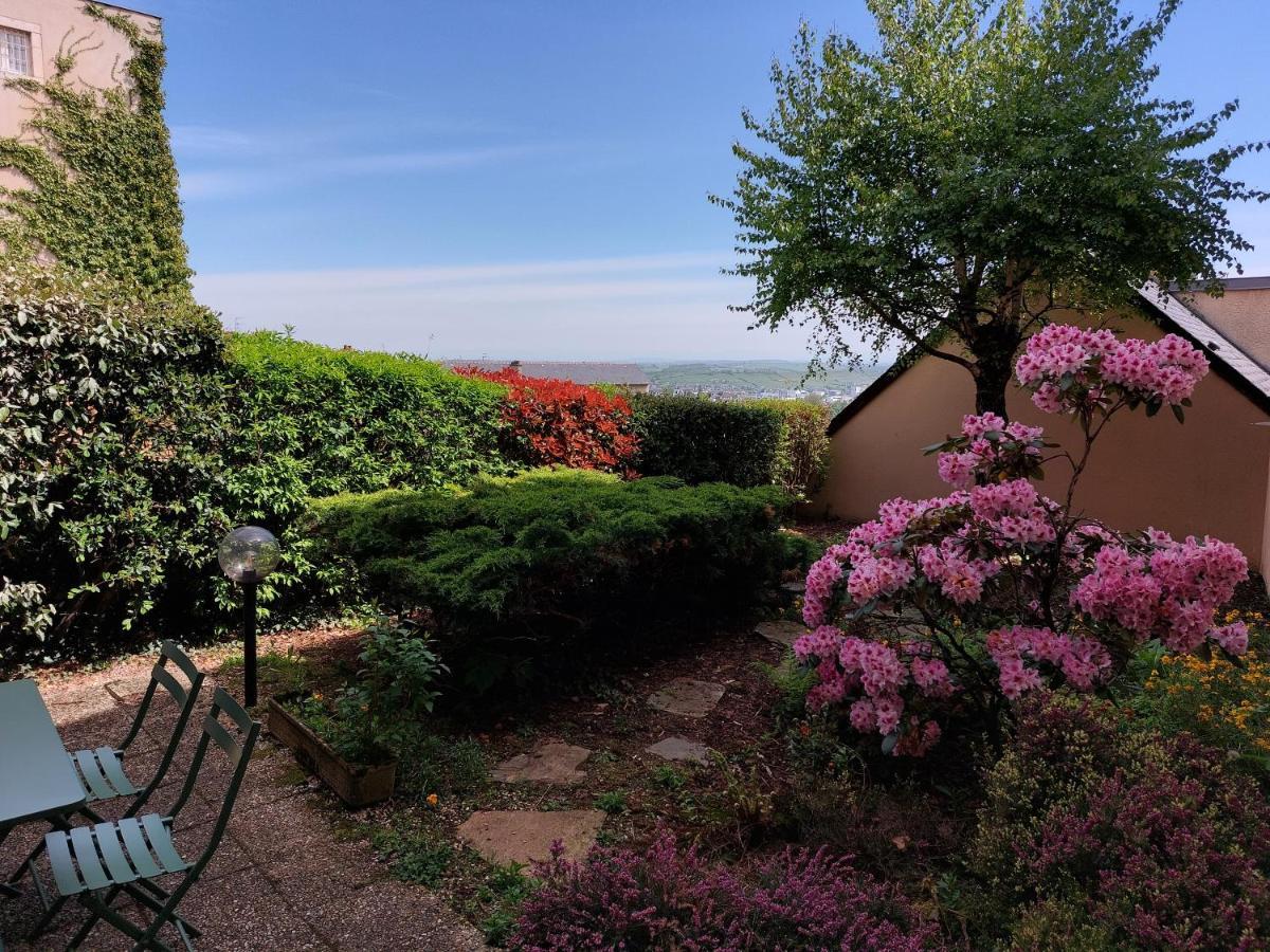 Apartamento Le Denyspuech 55M2 Plein Centre Avec Jardin! Rodez Exterior foto