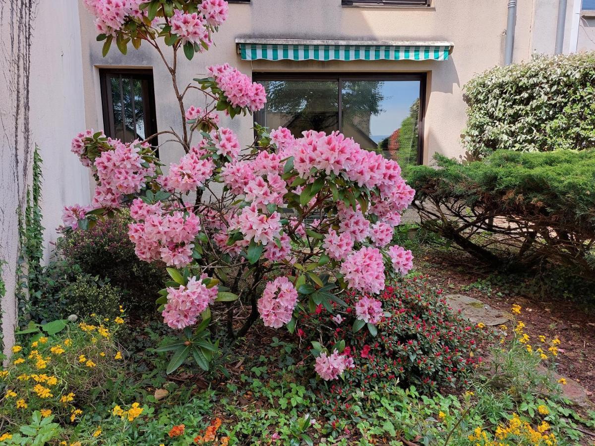 Apartamento Le Denyspuech 55M2 Plein Centre Avec Jardin! Rodez Exterior foto